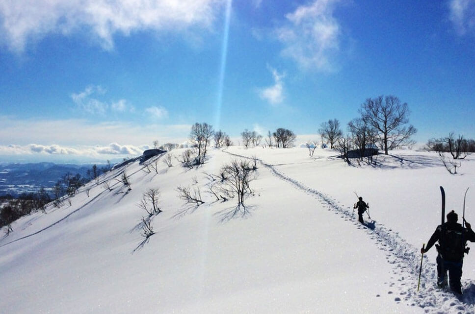From Hokkaido To Kyushu, This Is The Ski Resort To Appreciate The Winter In Japan